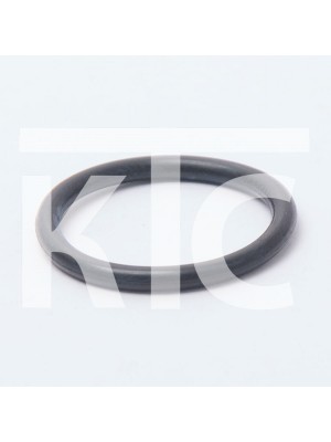 Кольцо уплотнительное для CF 21х2.5 0180-080001 (5721)