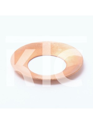 Кольцо оси сателлитов для CF 0181-313011 (5709)