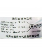 Электродвигатель наружного блока WZDK40-38G-W DC310V 40W (017958) Электродвигатель наружного блока WZDK40-38G-W DC310V 40W (017958)