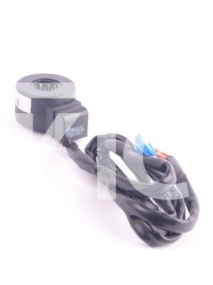 Катушка ЭРВ EBE 43125106 170512161 DC12V (023243)