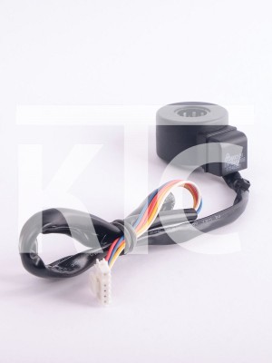 Катушка ЭРВ EAP30616908 17040831 DC12V (023241)