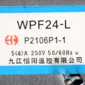 Термостат WPF24-L (017841)