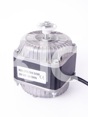 Электродвигатель LTF25-220-50 25/100W (024728)