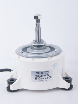 Электродвигатель SIC-62FW-D858-1 (024693)