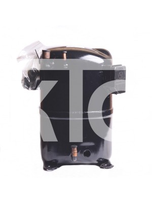 Компрессор RC5563ESE2 PCA201A016D R22 (017780)